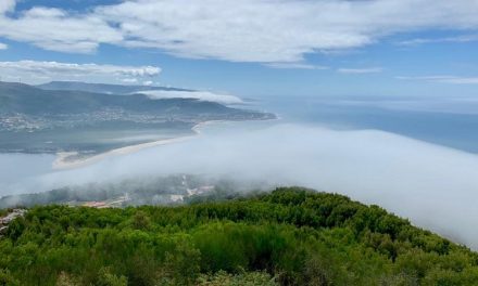 USO RESPALDA LA HUELGA MUNDIAL POR EL CLIMA