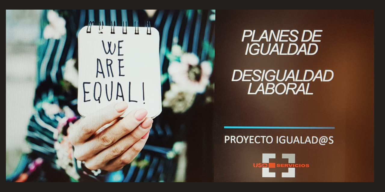 Planes de Igualdad y Desigualdad laboral, segunda sesión formativa on-line enmarcada en el proyecto IGUAL A 2, IGUALAD@S.