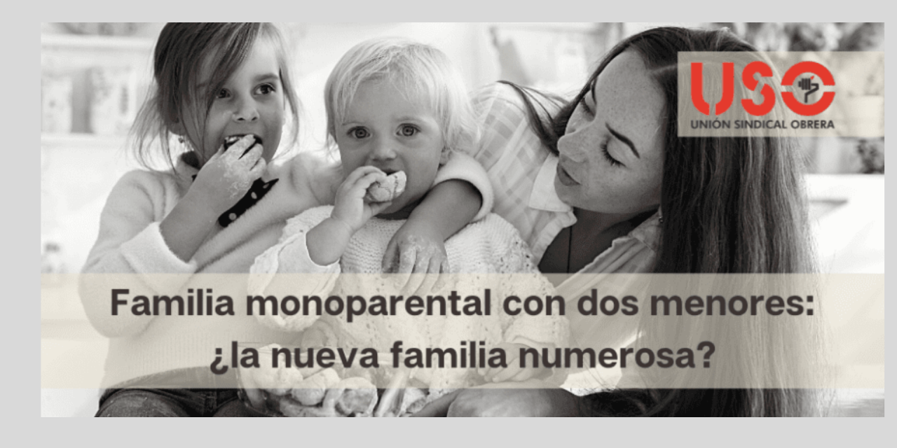 La familia monoparental con dos menores pasara a ser considerada familia numerosa