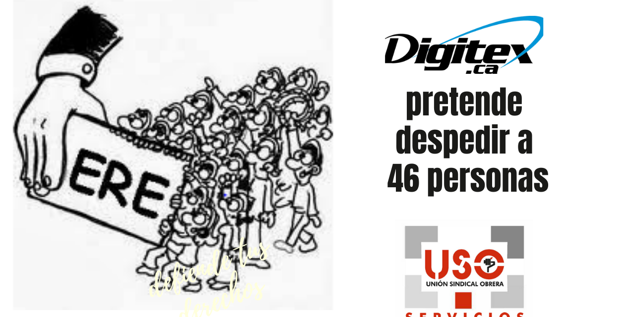 Digitex pretende despedir a 46 personas