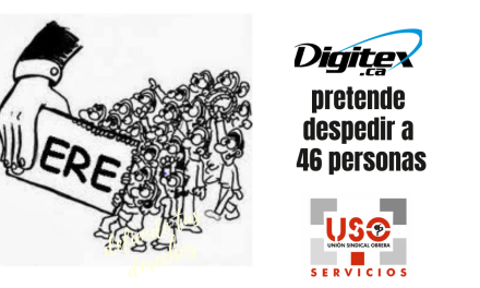 Digitex pretende despedir a 46 personas