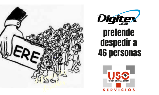 Digitex pretende despedir a 46 personas