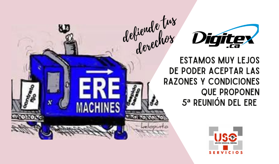 5ª Reunión del ERE de Digitex